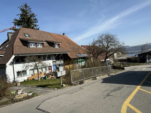 Attraktives Grundstück mit Seeblick und Entwicklungspotenzial in Beinwil am See 3