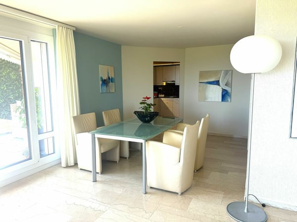 3,5 Zimmer Terrassenhaus in ruhiger, sonniger Lage mit unverbaubarer Weitsicht auf den Zürichsee und in die Alpen 3
