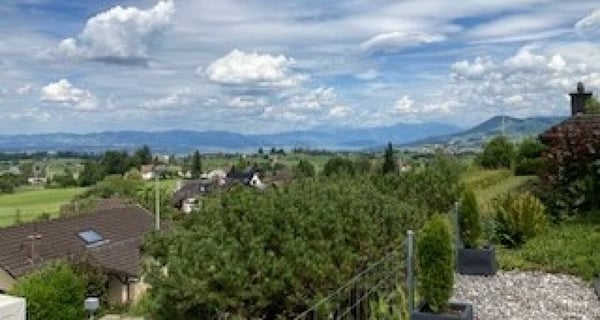 3,5 Zimmer Terrassenhaus in ruhiger, sonniger Lage mit unverbaubarer Weitsicht auf den Zürichsee und in die Alpen 14
