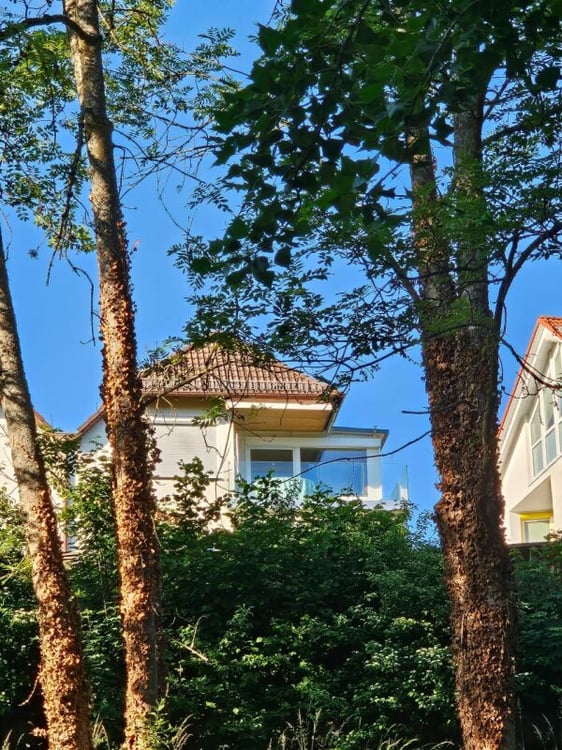 Seesichtlage in Überlingen 200 Meter zum Hafen-Ost 1