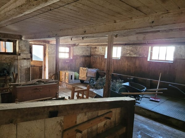 Wohnhaus mit Werkstatt und Stall in 7438 Mon (GR) 14