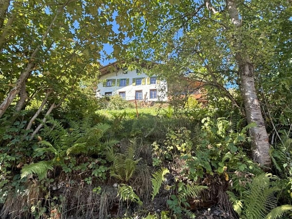 Einmalige Gelegenheit in Lauterbrunnen - Landwirtschaftliche Liegenschaft mit Wohnhaus, Scheune und drei weiteren Grundstücken 2