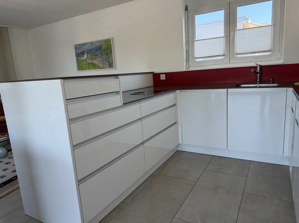 4.5-Zimmer Attika-Wohnung im Zentrum und doch an ruhiger Lage und mit viel Privatsphäre 160 m2 Nettowohnfläche, mehr als 100 m2 Terrasse 5