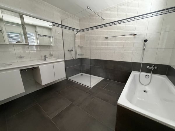 4.5-Zimmer Attika-Wohnung im Zentrum und doch an ruhiger Lage und mit viel Privatsphäre 160 m2 Nettowohnfläche, mehr als 100 m2 Terrasse 9