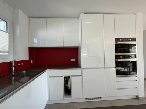 4.5-Zimmer Attika-Wohnung im Zentrum und doch an ruhiger Lage und mit viel Privatsphäre 160 m2 Nettowohnfläche, mehr als 100 m2 Terrasse 4
