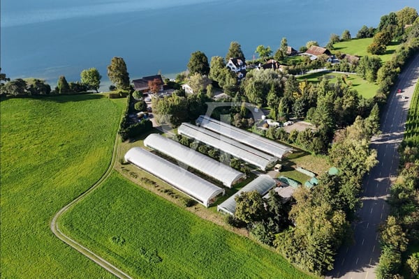 Seltene Landreserve am Zürichsee: Grosszügiger Parzellenverbund mit vi 6