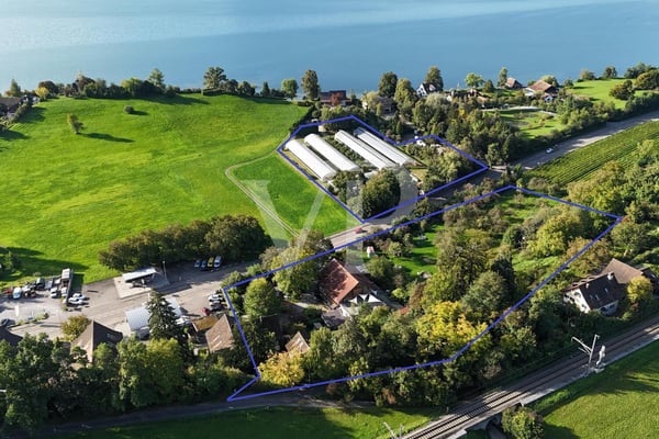 Seltene Landreserve am Zürichsee: Grosszügiger Parzellenverbund mit vi 3