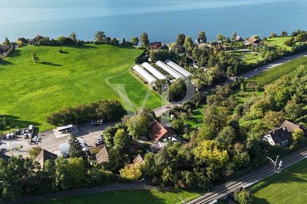 Seltene Landreserve am Zürichsee: Grosszügiger Parzellenverbund mit vi 8