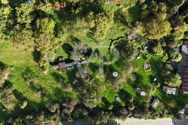 Seltene Landreserve am Zürichsee: Grosszügiger Parzellenverbund mit vi 11