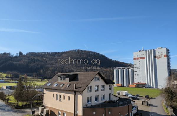 Grosszügige 1.5-Zimmer-Wohnung mit 310 m² Wohnfläche & 380 m² Nutzfläche in Leibstadt - Wohnkomfort auf höchstem Niveau 1