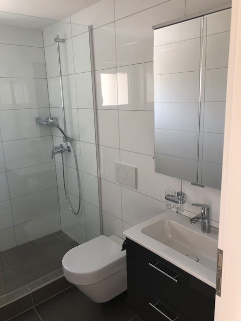 Im Zentrum, Renovierte 3-Zimmer-Wohnung mit 2 Balkone 4