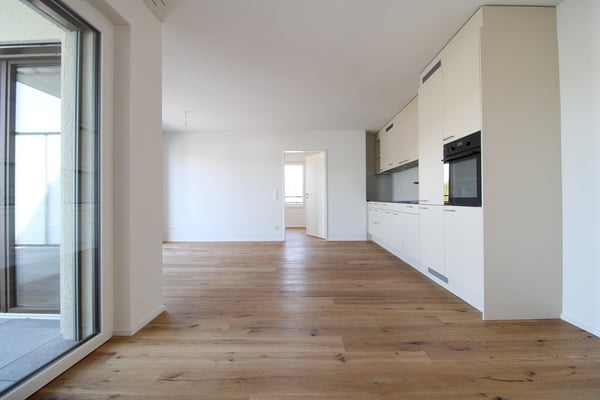 Exklusive 3.5 Zimmer-Attikawohnung im Neubau 2