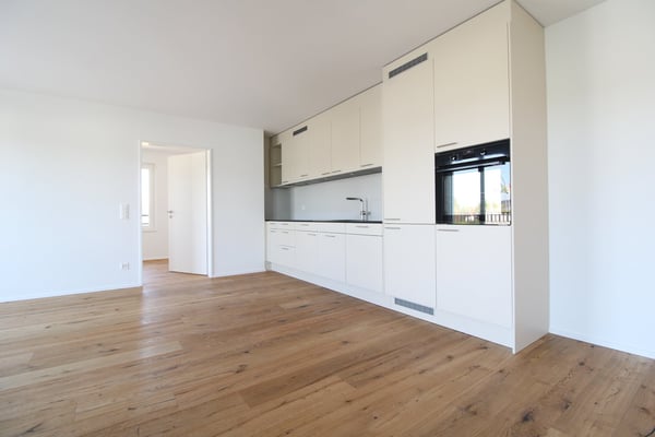 Exklusive 3.5 Zimmer-Attikawohnung im Neubau 3