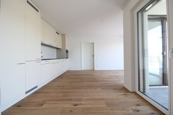 Exklusive 3.5 Zimmer-Attikawohnung im Neubau 6