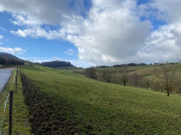 NEUBAU 1.5-Zimmer Wohnung (1. Obergeschoss) 6