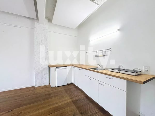 Appartement 1 pièces style loft industriel 2