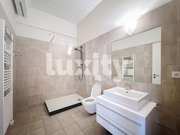 Appartement 1 pièces style loft industriel 4