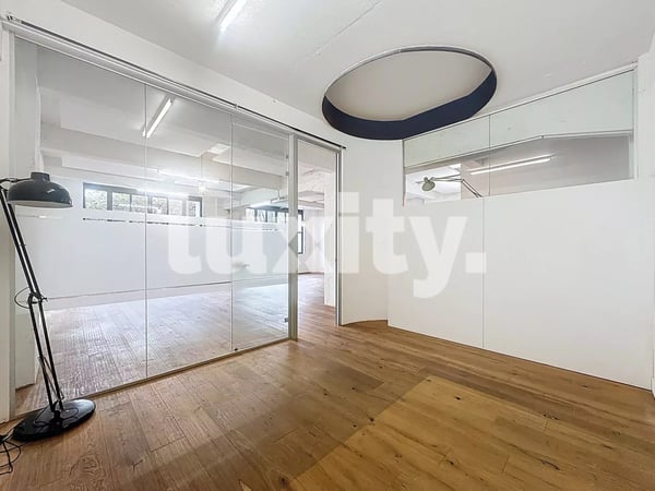 Appartement 1 pièces style loft industriel 3