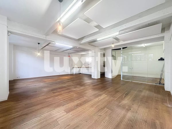 Appartement 1 pièces style loft industriel 1