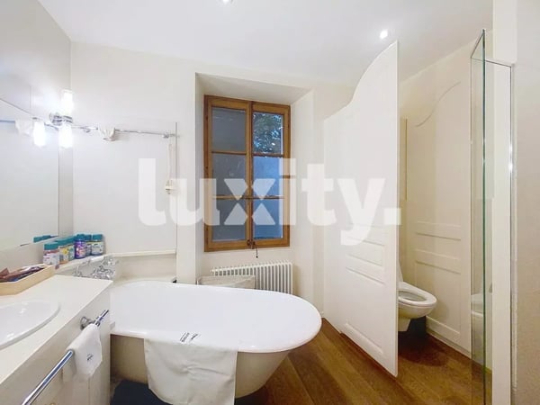 Exceptional listed property - Lake view and landscaped garden 5