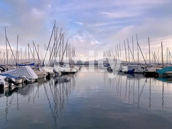 Exceptional listed property - Lake view and landscaped garden 6