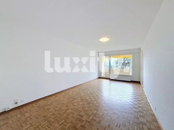 Appartement de 6 pièces à Thônex 2