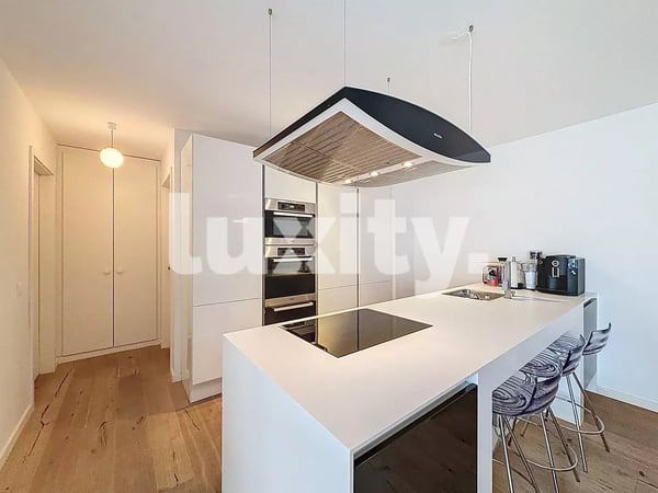 Appartement meublé 4 pièces avec grande terrasse 3