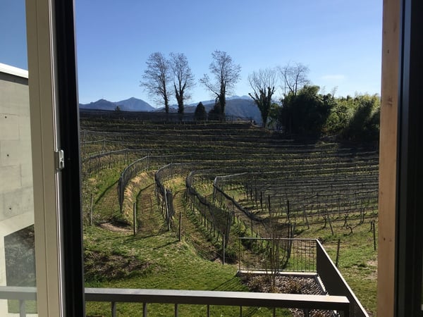 Eleganza, spazio e natura – 4.5 locali con vista vigneti e lago 4