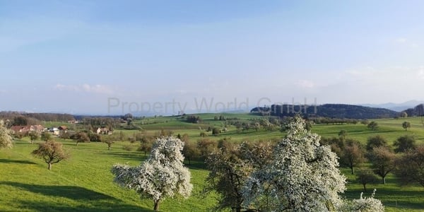 Wenn nicht jetzt - wann dann? 4,5 Zimmer Maisonette Whg - Maugwil 2