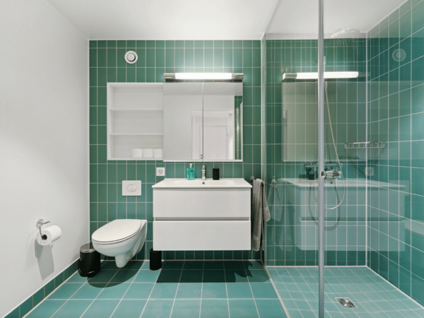 Basel-Münchenstein - 7 min. vom Basel SBB Bahnhof 4