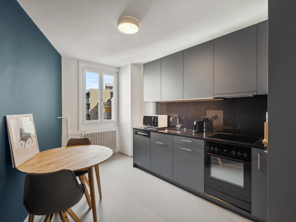 Basel-Güterstrasse möbliertes 2.5-Zimmer-Apartment 3