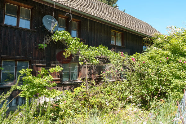 AM BODENSEE DAHEIM EINZIGARTIGES BAULAND MIT SEEBLICK UND FISCHERHAUS 6