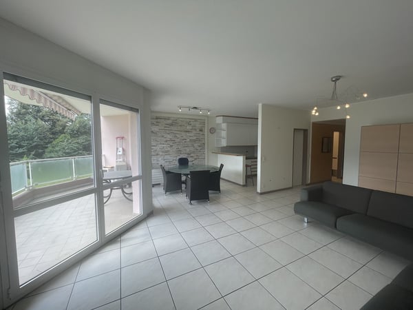 APPARTAMENTO 1.5 CON SPLENDIDA VISTA CITTA' E PARZIALE LAGO 4