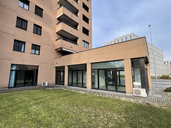 AMPIO COMMERCIALE CON VETRINE IN ZONA DI FORTE PASSAGGIO 9