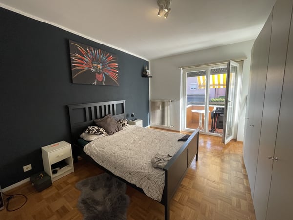 COMODO APPARTAMENTO 1.5 IN ZONA CENTRALE 8