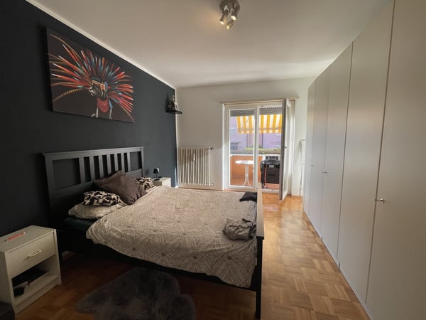 COMODO APPARTAMENTO 1.5 IN ZONA CENTRALE 7