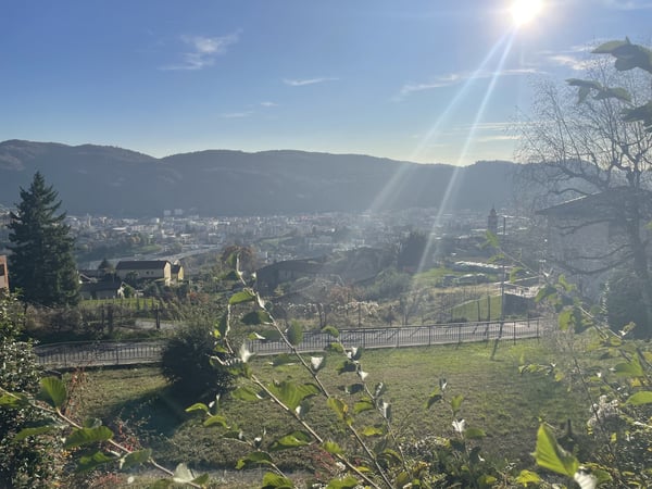 INTERESSANTE ED AMPIA CASA UNIFAMILIARE CON GRANDE TERRENO 7