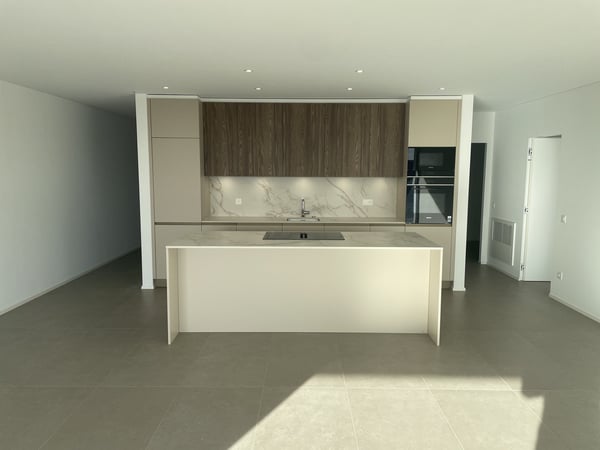 NUOVO E STRAORDINARIO APPARTAMENTO 1.5 CON VISTA INCANTEVOLE 3