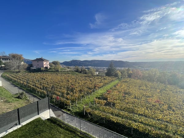 NUOVO E STRAORDINARIO APPARTAMENTO 1.5 CON VISTA INCANTEVOLE 11