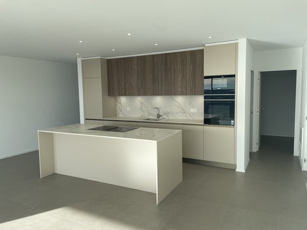 NUOVO E STRAORDINARIO APPARTAMENTO 1.5 CON VISTA INCANTEVOLE 4