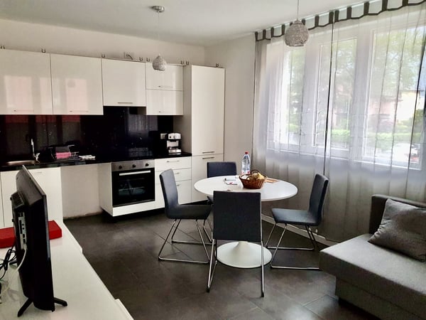 INTERESSANTE APPARTAMENTO 1.5 CON TERRAZZA E POSTEGGIO 9