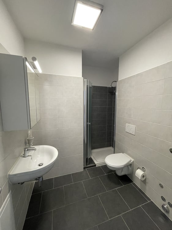 INTERESSANTE APPARTAMENTO 1.5 CON TERRAZZA E POSTEGGIO 7