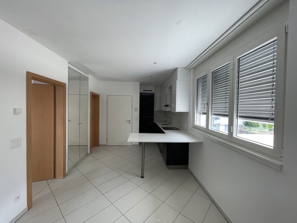 IMPERDIBILE APPARTAMENTO 1.5 IN ZONA CENTRALE 3