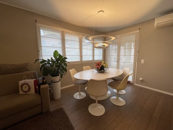 ELEGANTE ED AMPIO APPARTAMENTO 1.5 CON GRANDE POSTEGGIO 2