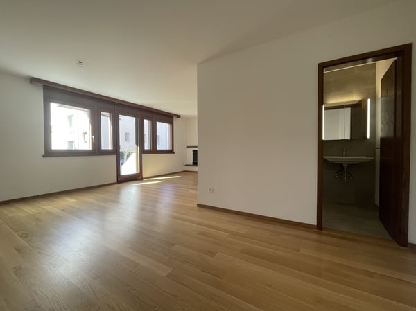 AMPIO APPARTAMENTO 2.5 RIATTATO CON GIARDINO 3