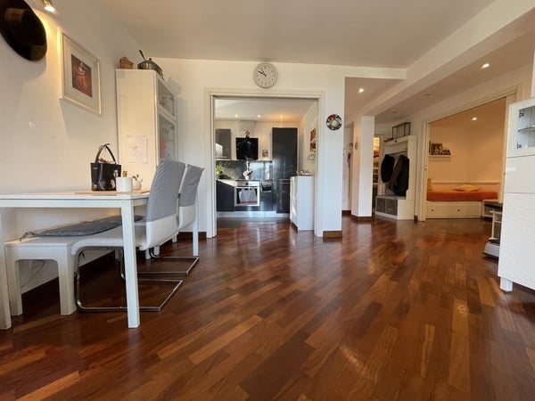 AMPIO APPARTAMENTO 2.5 CON VISTA LAGO E POSTEGGIO ESTERNO 1