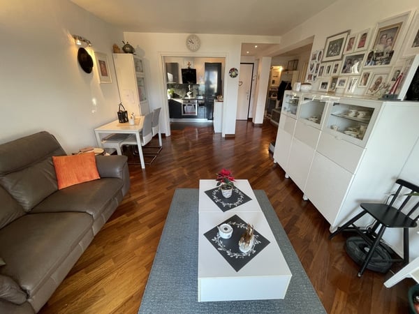 AMPIO APPARTAMENTO 2.5 CON VISTA LAGO E POSTEGGIO ESTERNO 3