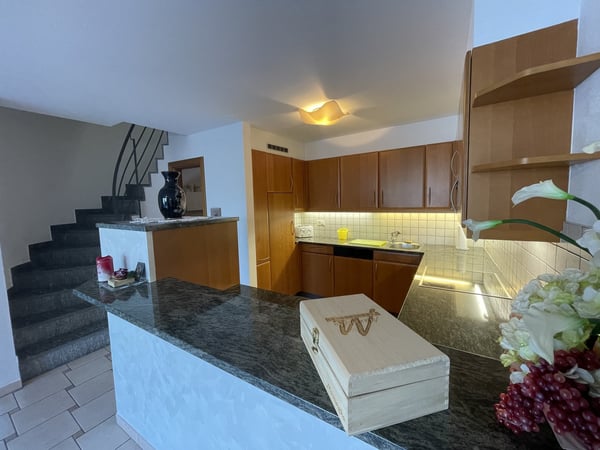 INTERESSANTE CASA 4.5 CON INCANTEVOLE VISTA LAGO 2