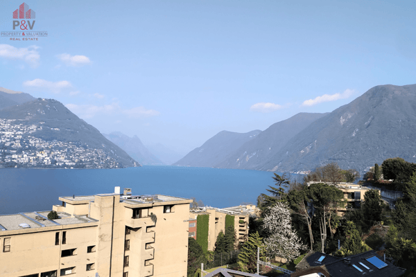 BELL'APPARTAMENTO 3.5 COMPLETAMENTE RIATTATO A PARADISO 7