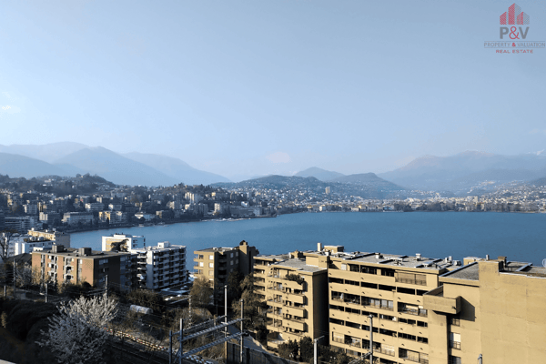 BELL'APPARTAMENTO 3.5 COMPLETAMENTE RIATTATO A PARADISO 8